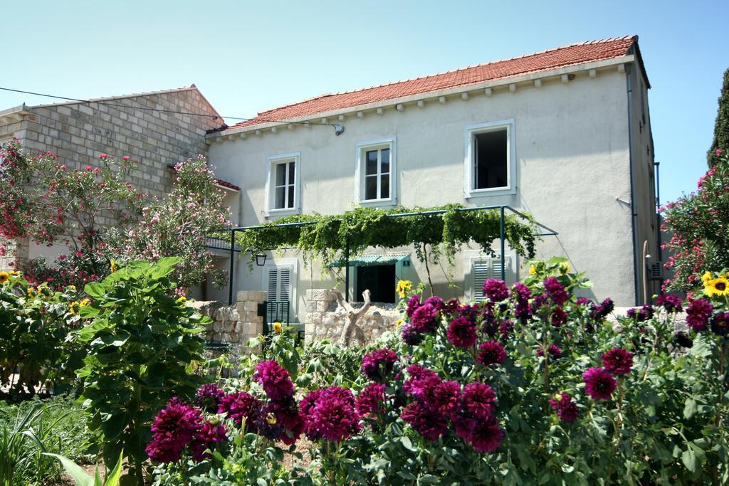 Guest House Katica Затон Екстериор снимка