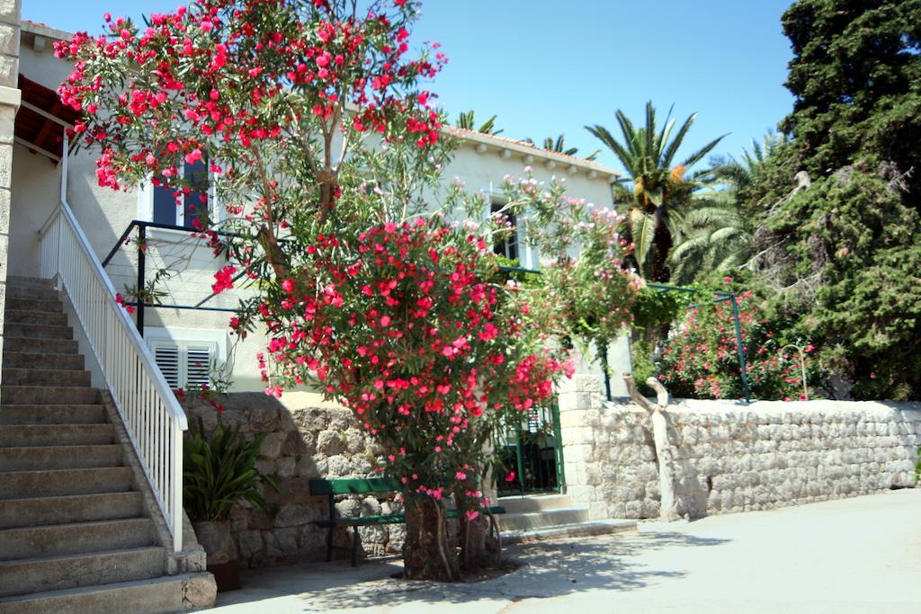 Guest House Katica Затон Екстериор снимка